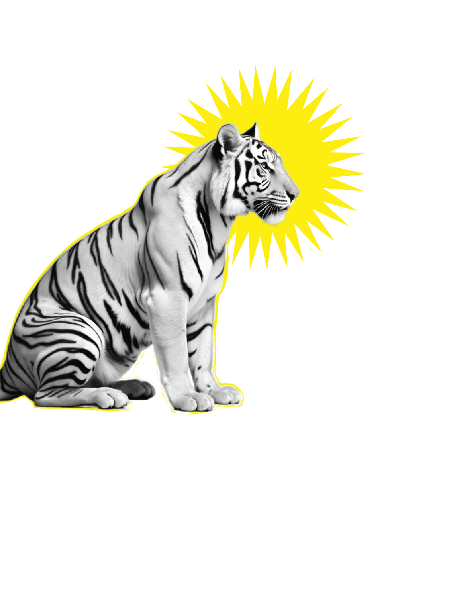 A tiger with a sunburst — the Make It Awkward theme